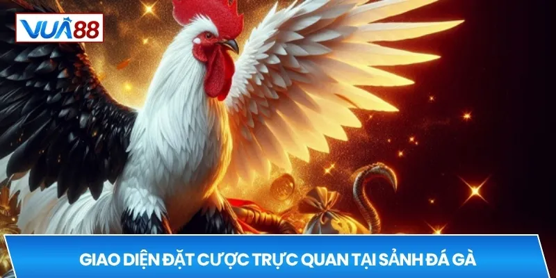 Giao diện đặt cược trực quan tại sảnh đá gà